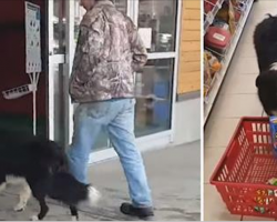 Dog Picks Out His Own Treats At Store, His Next Move Has Everyone Crying In Laughter