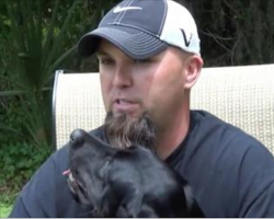 During An Interview, This Veteran Has A Panic Attack. Now Watch The Dog…