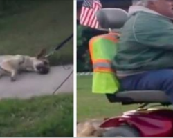 Monster drags dog behind his scooter, has no idea that he’s on camera and will pay the price