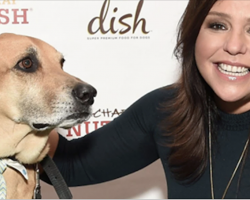 Rachael Ray Gave $1M To Hurricane Victims. But Her Donation Is Different Than Everyone Else’s