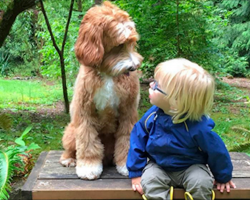Family Is Nervous Foster Child Won’t Adjust, But Then He Meets Their Dog