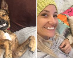 Rescue Dog Accidentally Makes The Funniest Faces For His Mom