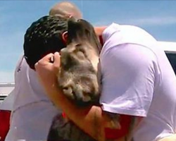 Soldier is forced to leave street dog he rescued in Iraq. 1 mth later, they reunite on the other side of Earth