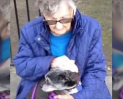 92-year-old woman forced to give up her best friend after senior care wouldn’t allow dogs