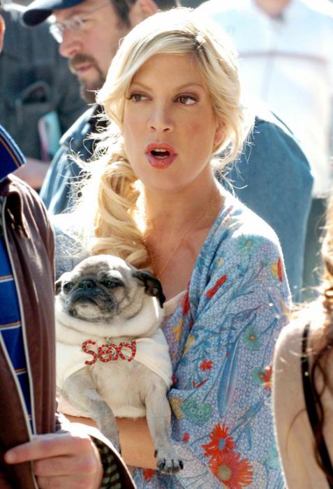 Tori Spelling pug