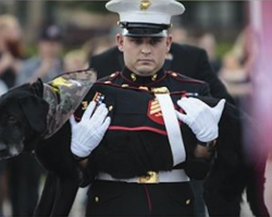 Community Comes Together To Bid Farewell To Dying Canine Marine