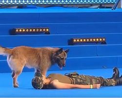 Woman Falls To The Ground During Competition. Dog’s Next Move Is Putting Tears In Everyone’s Eyes