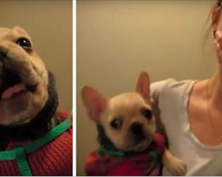Girl Says ‘I Love You’ To Dog – Then He Says ‘I Love You’ Back