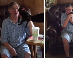 81-year-old loses her beloved dog, completely breaks down when her son hands her a new pug