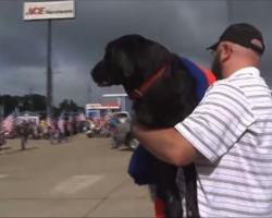 He was about to put down his senior war dog, then a group of biker showed up
