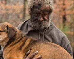 Homeless man says goodbye to the 31 stray dogs he’s been caring for in the woods