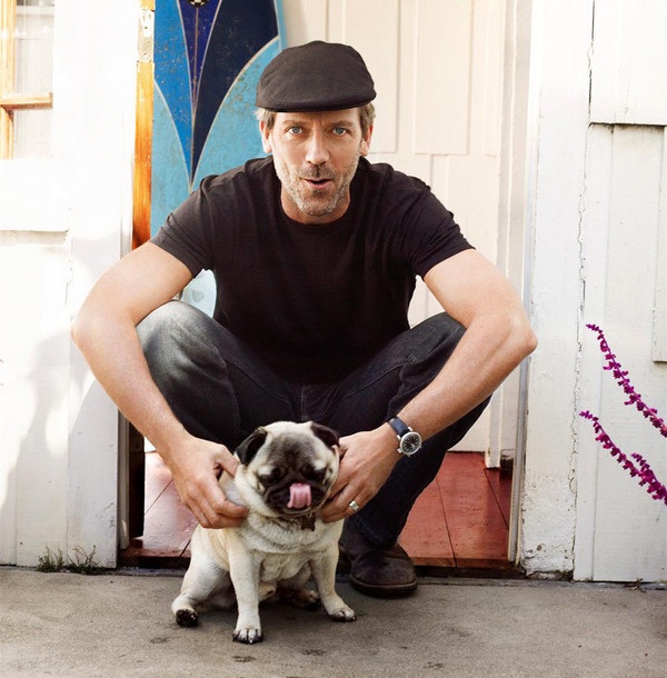 hugh-laurie-pug-dog