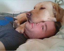 23 Dogs Who Don’t Care If They’re Invading Personal Space, They Just Wanna Cuddle