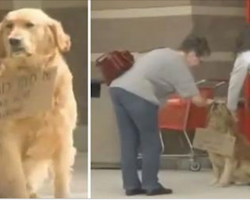 Lonely Dog Waits Outside Target With Sign Around His Neck — Then People Read It.