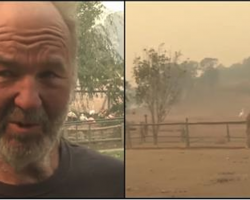 Deadly Flames Threaten Wildlife Site But One Man Stays Behind With Hose To Keep Animals Safe