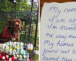 Owner abandons pit bull outside of vet, leaves a tragic note that tells the full story