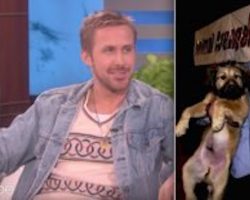 Ryan Gosling Shares The Sweetest Tribute To His Dog, George