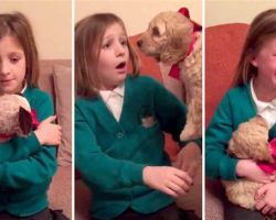 See this girl’s amazing reaction as her stuffed animal transforms into a real-life puppy