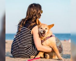 Senior Dog Who Lived Her Life Alone Gets To Spend Final Days With A Real Family