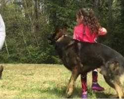 Man Circles Dog And 5-Year-Old Girl, Then She Gives The Signal And Dog Springs Into Action