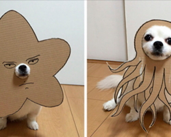 Japanese Woman Creates Hilarious Cardboard Cutouts With Her Dog (10+ Pics)