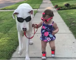 A Little Girl And Her Disabled Dog Share A Bond That’s Being Recognized Worldwide