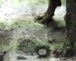 She spills warm water over his skin. When the camera pans back? I was left Speechless