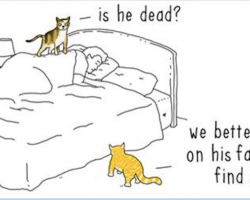 Artist imagines ‘if animals could talk,’ creates hilarious comics showing what it might be like
