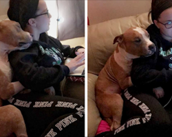 Sad Pit Bull Is Finally Adopted, Now He Can’t Stop Hugging His New Mom