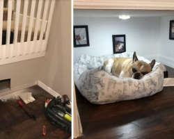 Dad Builds Dog His Very Own Room Under The Stairs, And It’s Perfect