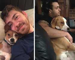 10+ Pets Who Stole Owner’s Partner And Didn’t Think Twice