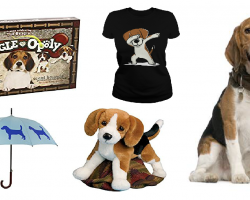 20 Items That All Beagle Lovers Need To Have