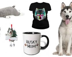 20 Items That All Husky Lovers Need To Have
