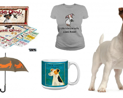 20 Items That All Jack Russell Lovers Need To Have