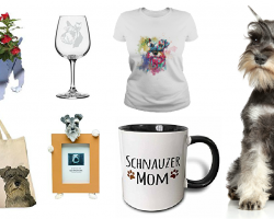 20 Items That All Schnauzer Lovers Need To Have