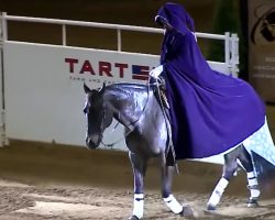 Woman Wins World Title for Performing Disney’s “Let It Go” in Freestyle Reining