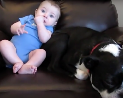 Dog Loves Sitting By His Baby Brother — Until He Poops His Pants