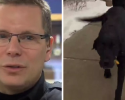 Cop Follows Panicked Dog, Realizes Something Is Terribly Wrong — Now, They’re Both Heroes