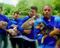 This hilarious love song slow jam made for all men who love their dogs will make your day!