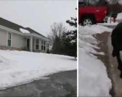 Strange dog wants police to follow him to his house – one look at the balcony and he quickly calls 911