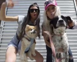 This hilarious music video is too relatable for the crazy dog mom in all of us