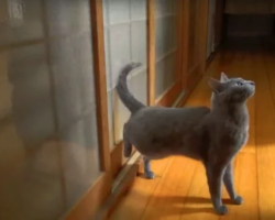 Every Day At 6AM They Were Woken By Strange Noises, They Set up a Camera — Here’s the Footage