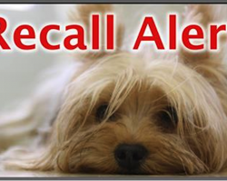 Breaking News: Dog Food Recall Just Issued!