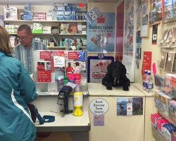 Tiny Post Office Hires Cutest Employee Ever — His Job Title Will Have You Cracking Up