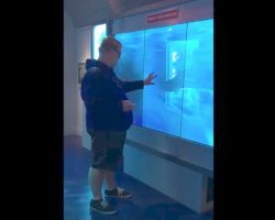 Man Touches Glass At Aquarium Display. Seconds Later, Gets Knocked To His Feet In Sheer Fright