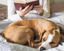 Would most dog owners rather hang out with their pet than people? Here’s what the study said…