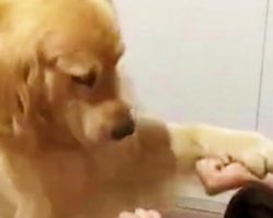 Owner Tells Him To Pick A Hand And He Picks Wrong One. His Reaction Is Hilarious!