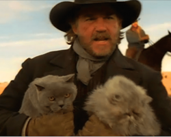 Cowboys Herding Cats May Just Be The Funniest Commercial You’ve Never Seen