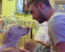 Dog did something very naughty, so owner starts scolding him. But dog’s reaction—it’s too adorable