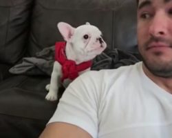 He Tells His Puppy How Handsome He is– His Puppy’s Response Couldn’t Be Cuter